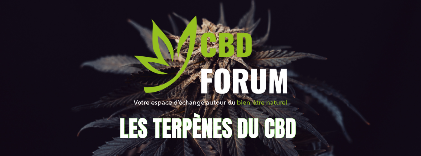 1727463016-les-terpenes.png 1727463016-les-terpenes.png