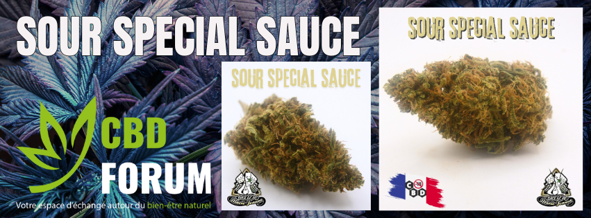 1727464333-sour-special-sauce.png 1727464333-sour-special-sauce.png