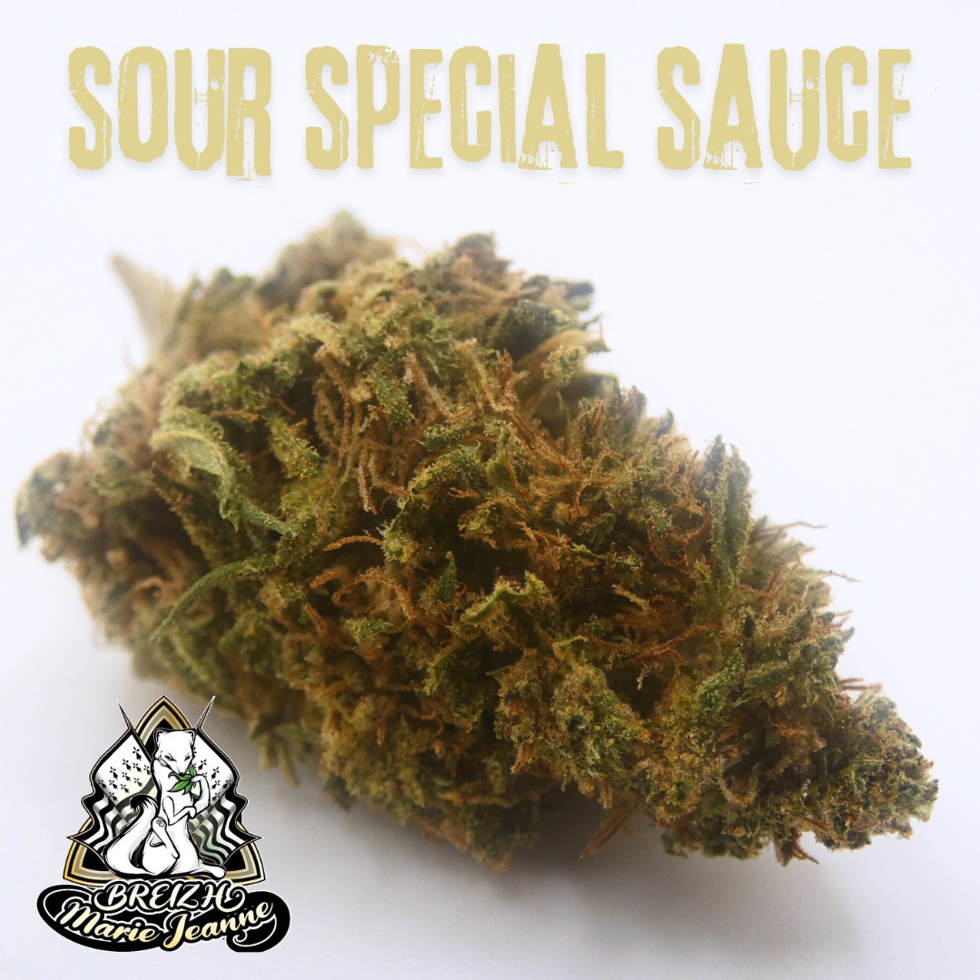 1727464572-sour-special-sauce.jpg 1727464572-sour-special-sauce.jpg