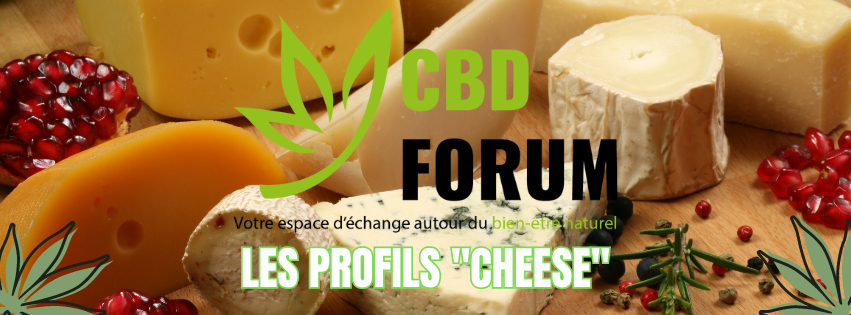 1727468914-profile-cheese.png 1727468914-profile-cheese.png