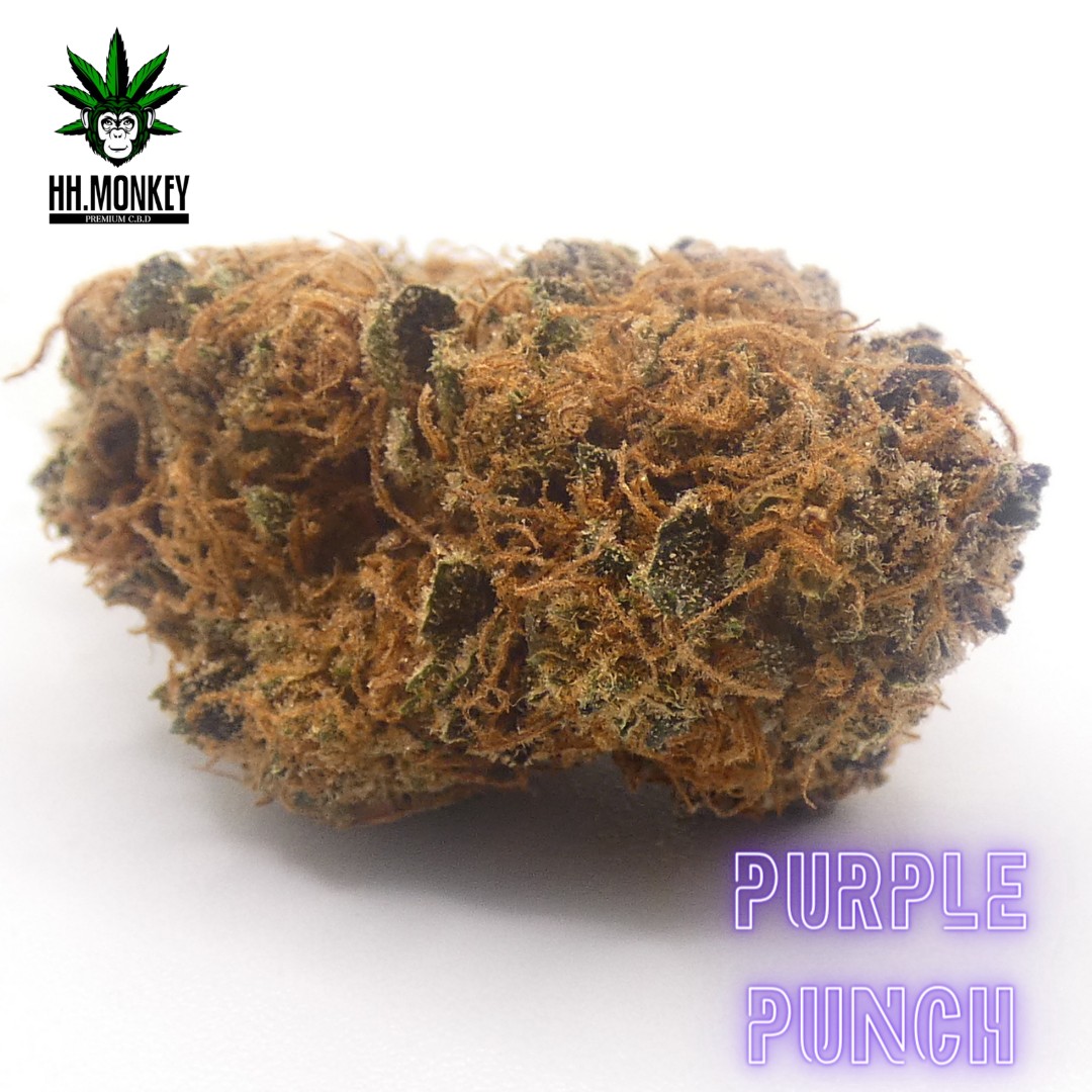 1727476749-Purple-Puunch.jpg 1727476749-Purple-Puunch.jpg