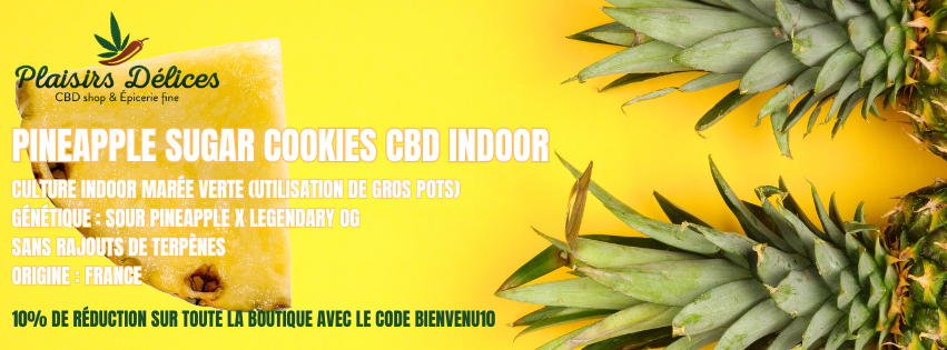 1727512041-Pinneaple-cookies.png 1727512041-Pinneaple-cookies.png