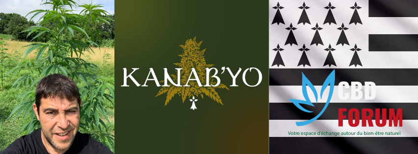 1727623950-Kanabyo.png 1727623950-Kanabyo.png