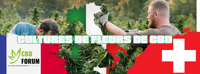1728127188-cultures-france-suissse-italie.png 1728127188-cultures-france-suissse-italie.png