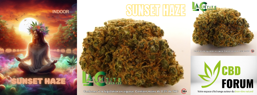 1728314750-sunset-haze.png 1728314750-sunset-haze.png
