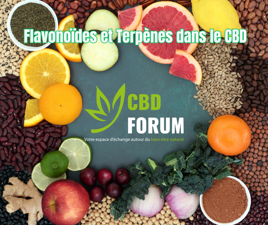 1728631955-Flavonoides-et-Terpenes-dans-le-CBD.png 1728631955-Flavonoides-et-Terpenes-dans-le-CBD.png