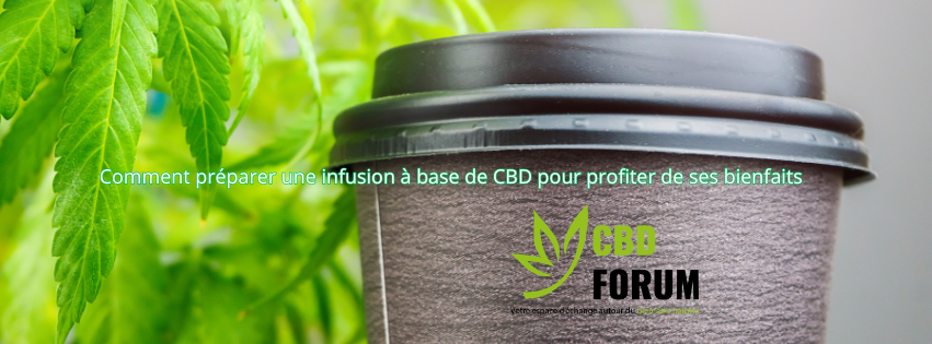 1728733425-Les-Tisanes-au-CBD-Detente-Naturelle-et-Bien-etre-resine.png 1728733425-Les-Tisanes-au-CBD-Detente-Naturelle-et-Bien-etre-resine.png