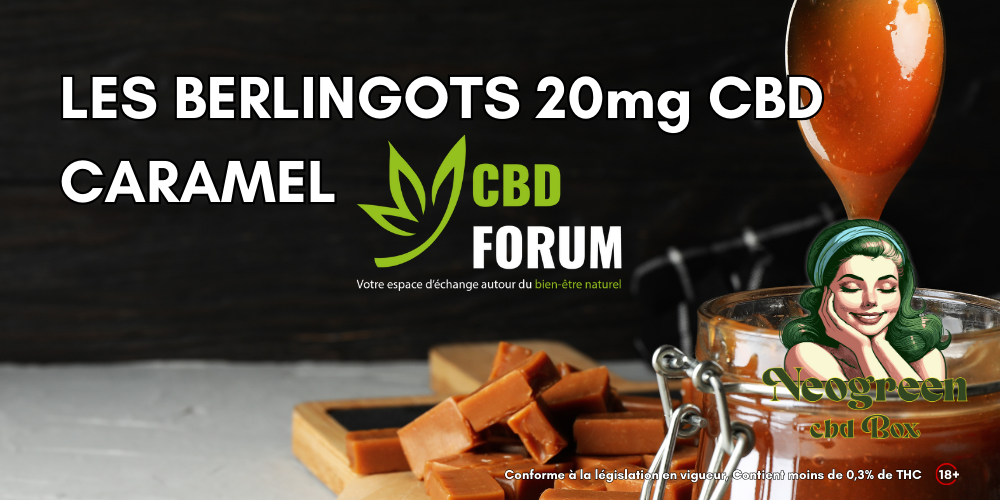 1728759994-LES-BERLINGOTS-CBD-CARAMEL-500-x-500-px4.png 1728759994-LES-BERLINGOTS-CBD-CARAMEL-500-x-500-px4.png