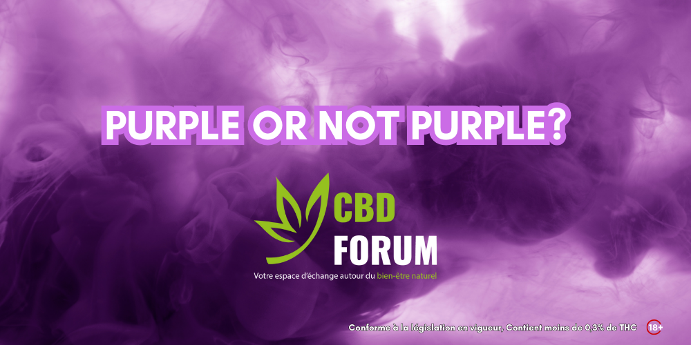 1728841330-purple-or-not-purple.png 1728841330-purple-or-not-purple.png