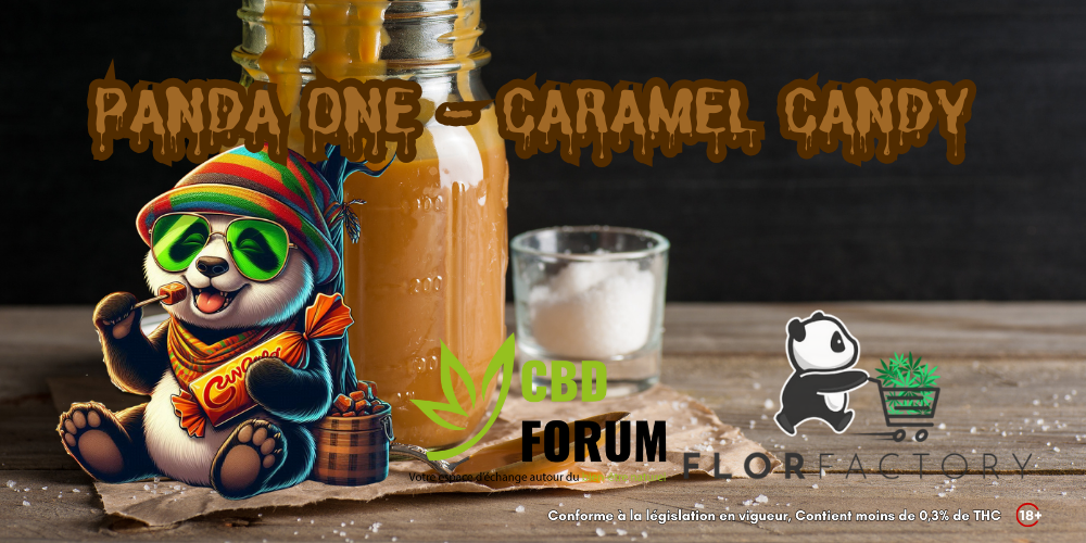 1728896219-panda-one-caramel-candy.png 1728896219-panda-one-caramel-candy.png