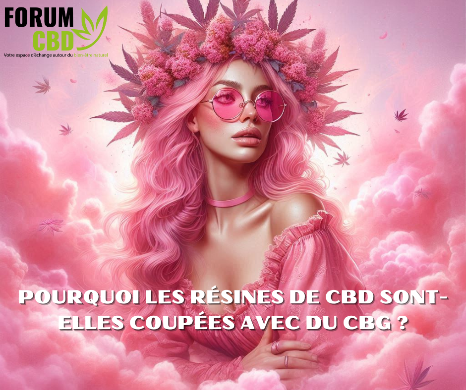 1735810375-cbg.png 1735810375-cbg.png