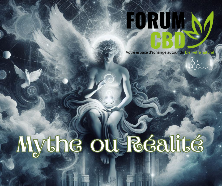1736243210-Mythe-ou-Realite.png 1736243210-Mythe-ou-Realite.png