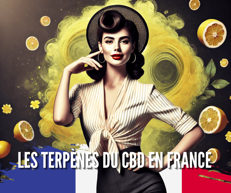 1741432051-Les-Terpenes-du-CBD-en-France.png 1741432051-Les-Terpenes-du-CBD-en-France.png