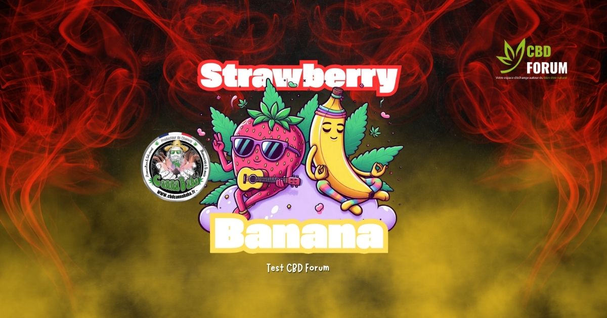 1773059999-strawberry-banana-cbd-cannababa-revue-degustation.jpg 1773059999-strawberry-banana-cbd-cannababa-revue-degustation.jpg