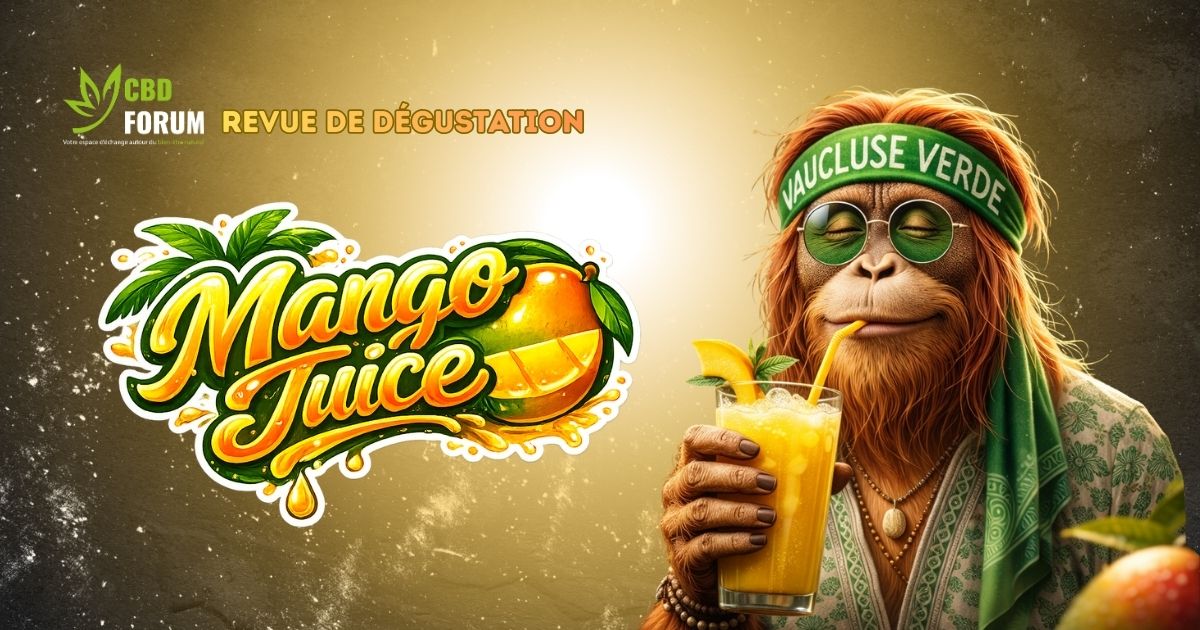 1773313774-revue-degustation-mango-juice-vaucluse.jpg 1773313774-revue-degustation-mango-juice-vaucluse.jpg