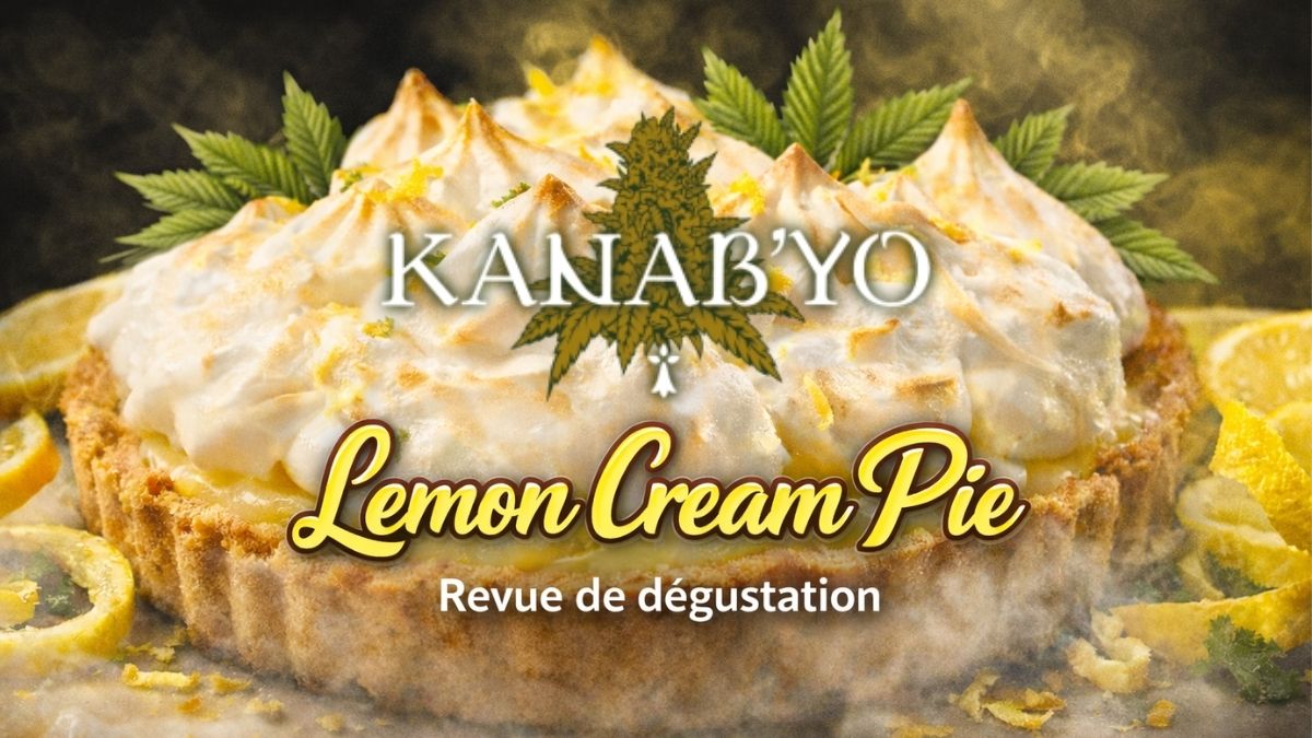 1773486351-lemon-cream-pie-indoor-cover.jpg 1773486351-lemon-cream-pie-indoor-cover.jpg