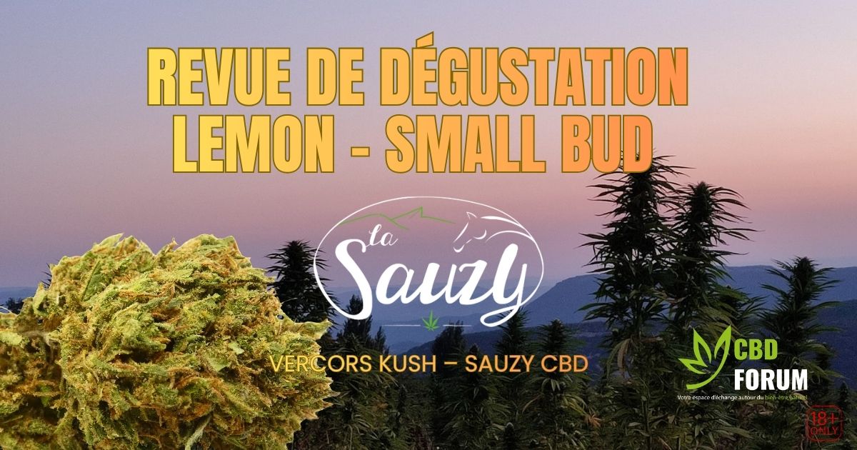 1773920447-revue-degustation-lemon-sauzy.jpg 1773920447-revue-degustation-lemon-sauzy.jpg
