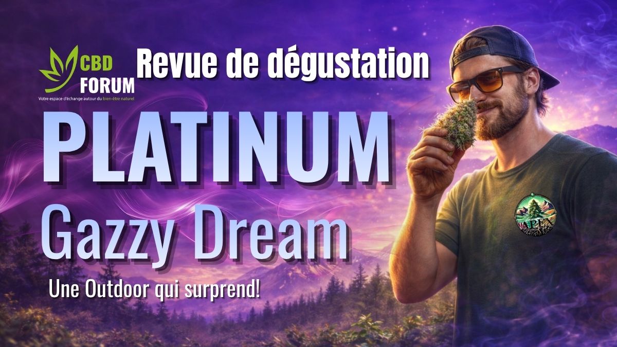 1774432602-revue-degustation-platinum-gazzy-dream.jpg 1774432602-revue-degustation-platinum-gazzy-dream.jpg