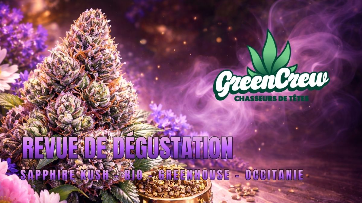 1775990919-greencrew-cover-revue.jpg 1775990919-greencrew-cover-revue.jpg