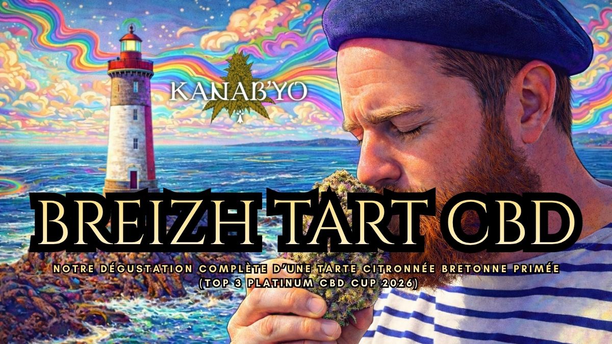 1776422317-breizh-tart-kanabyo.jpg 1776422317-breizh-tart-kanabyo.jpg