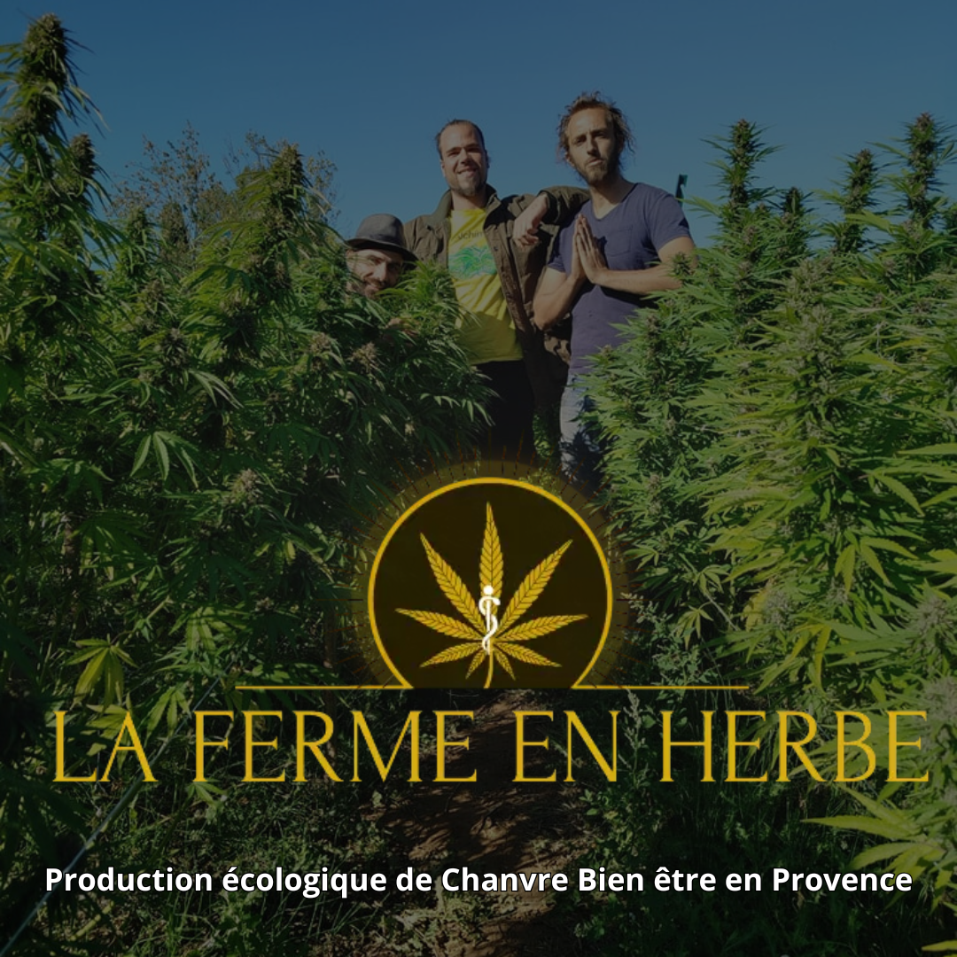 La Ferme en Herbe