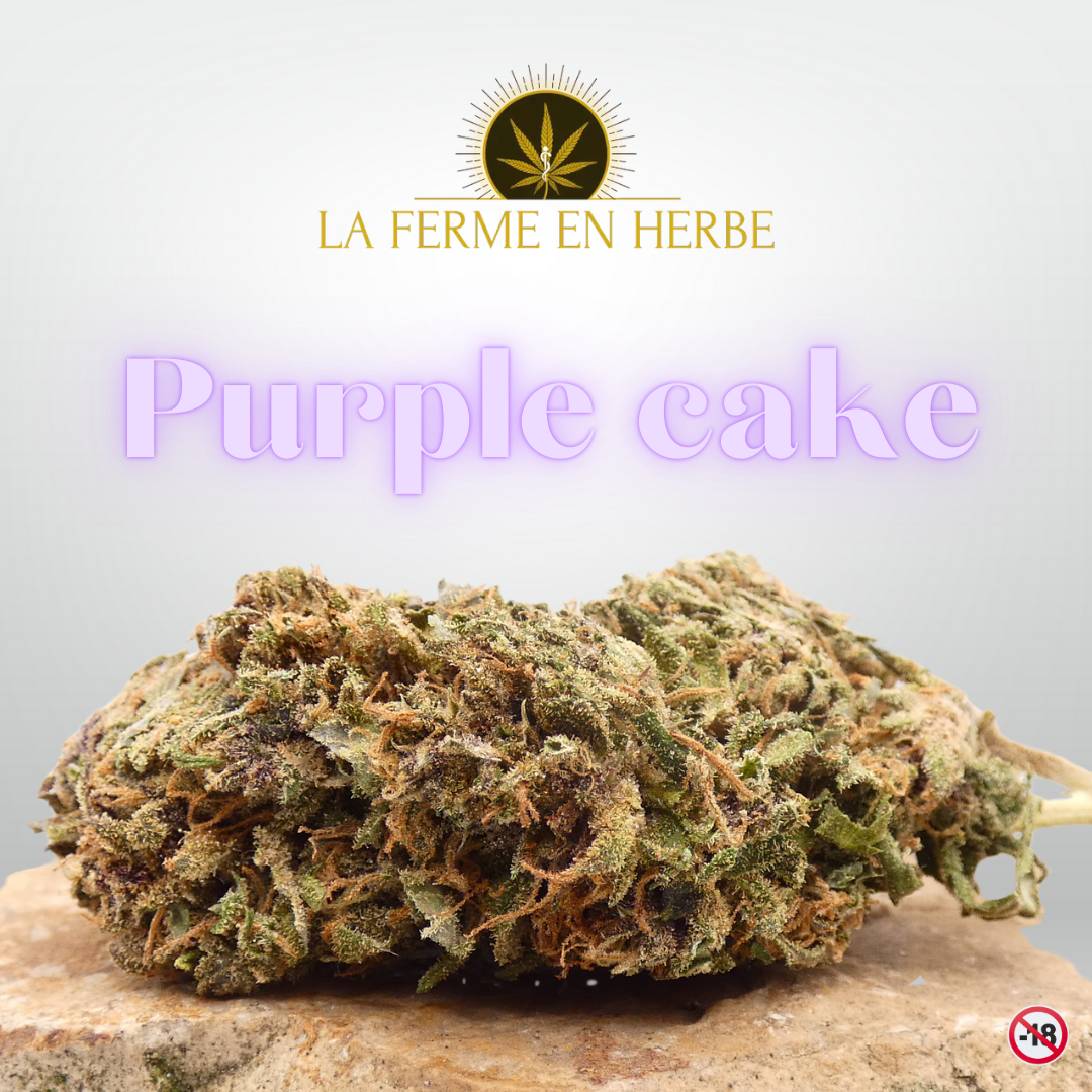 Purple cake