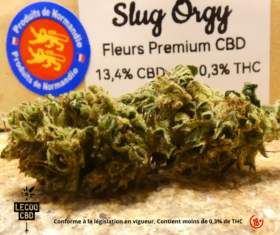 slugorgy
