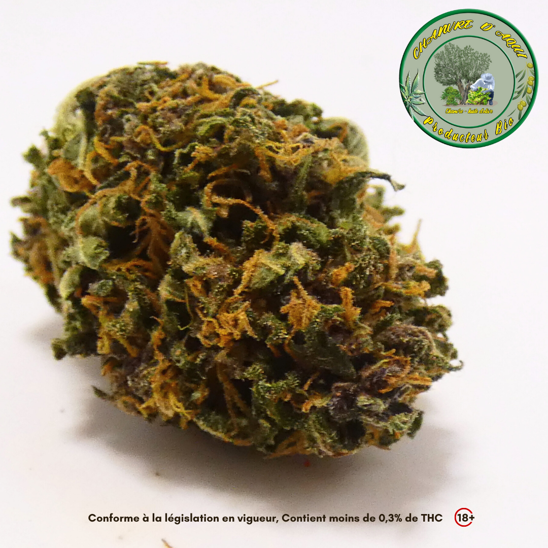 producteurlocal