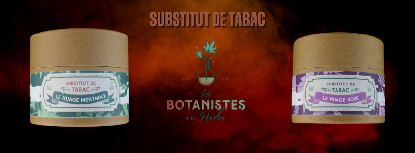 substitut