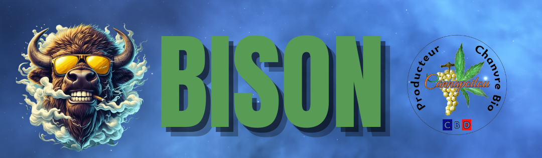 Logo HubSpot