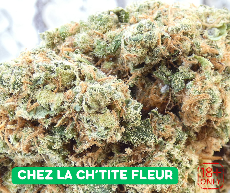 Fleur CBD