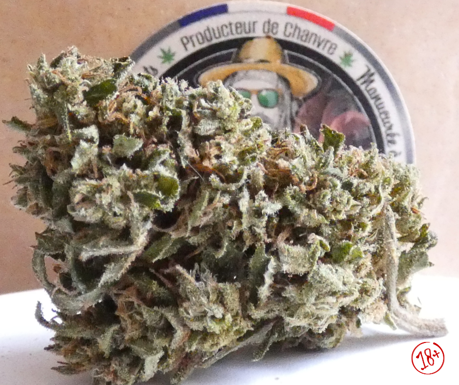 Berry Buddha