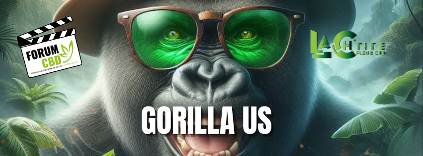 Gorilla US