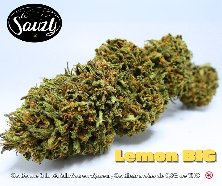 Big lemon
