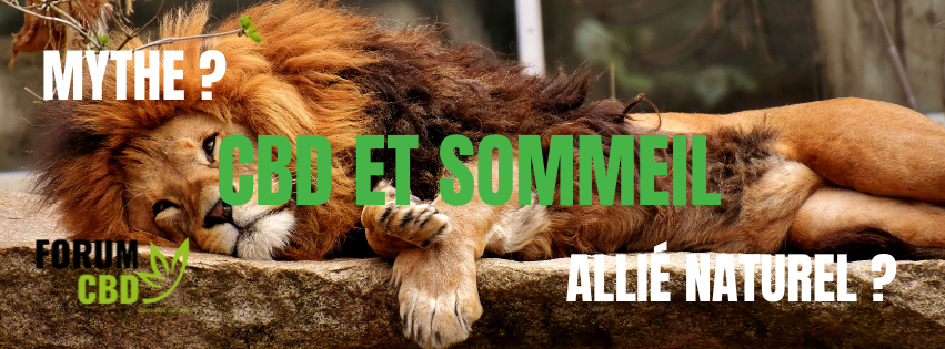 sommeil
