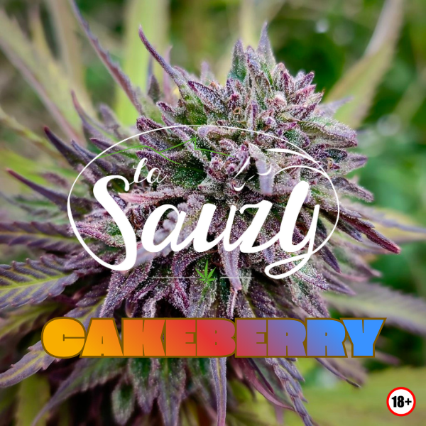 Cakeberry - La Ferme de La Sauzy