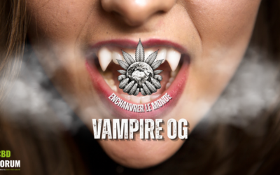 Vampire OG Outdoor – L’expression normande signée Enchanvrer Le Monde