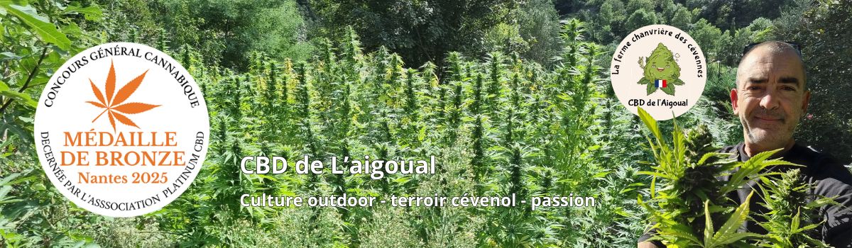 Médaille de bronze – Nantes 2025 Médaille de bronze CBD Nantes 2025 Platinum CBD Ferme Chanvrière des Cévennes