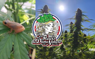 Rencontre avec Les fleurs de Dame nature