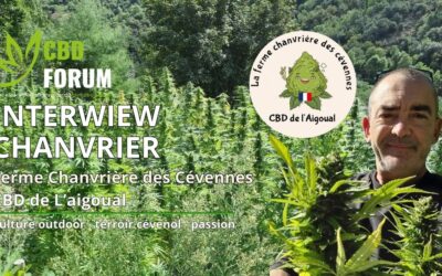 Au cœur des Cévennes : Interview d’un chanvrier passionné (CBD de l’Aigoual)