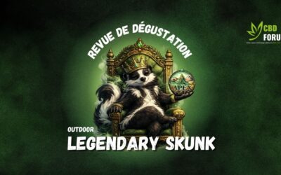 Legendary Skunk CBD Outdoor d’Apex – Revue de dégustation