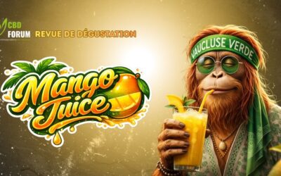 Mango Juice Vaucluse : 5 raisons de découvrir cette fleur CBD glasshouse