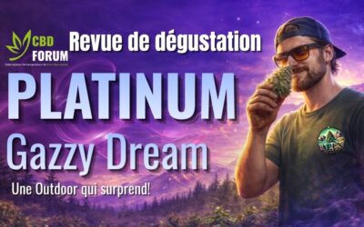 Platinum Gazzy Dream CBD outdoor- revue de dégustation