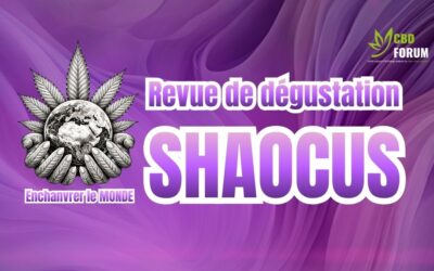 Revue de dégustation SHAOCUS – Enchanvrer le Monde