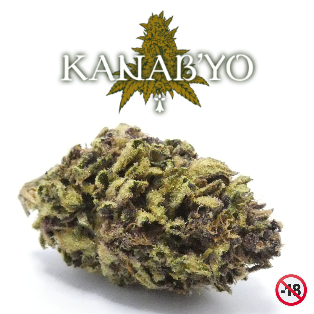 Kanabyobreizh