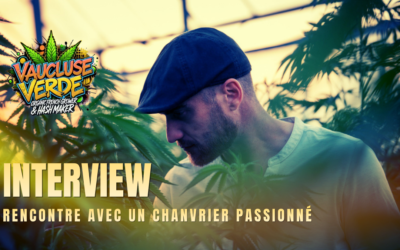 Vaucluse Verde : immersion avec un chanvrier passionné