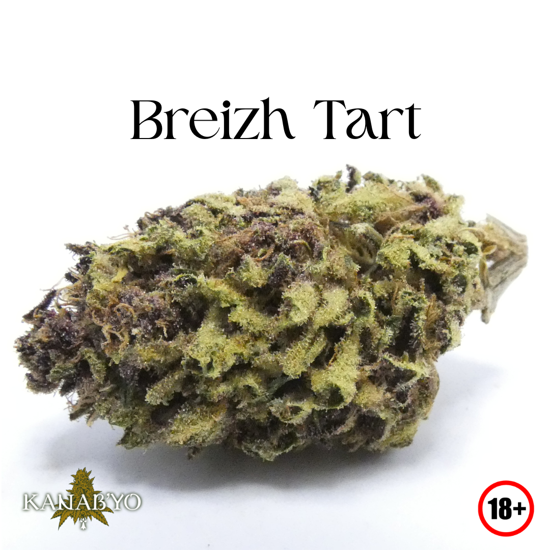 breizh-tart-kanabyo