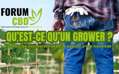 Grower CBD : le rôle du cultivateur en 5 étapes dans la qualité d’une fleur