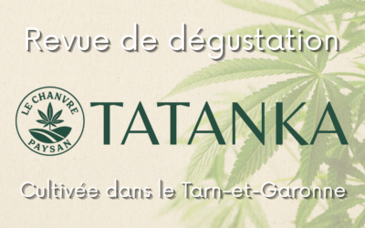 Tatanka revue de dégustation d’une fleur du Tarn-et-Garonne – Le Chanvre Paysan