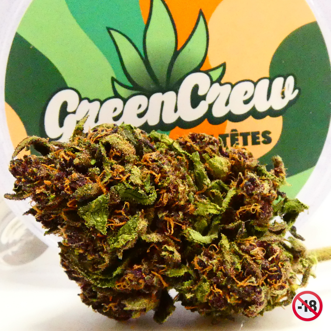 sapphire-kush-smellz-bio